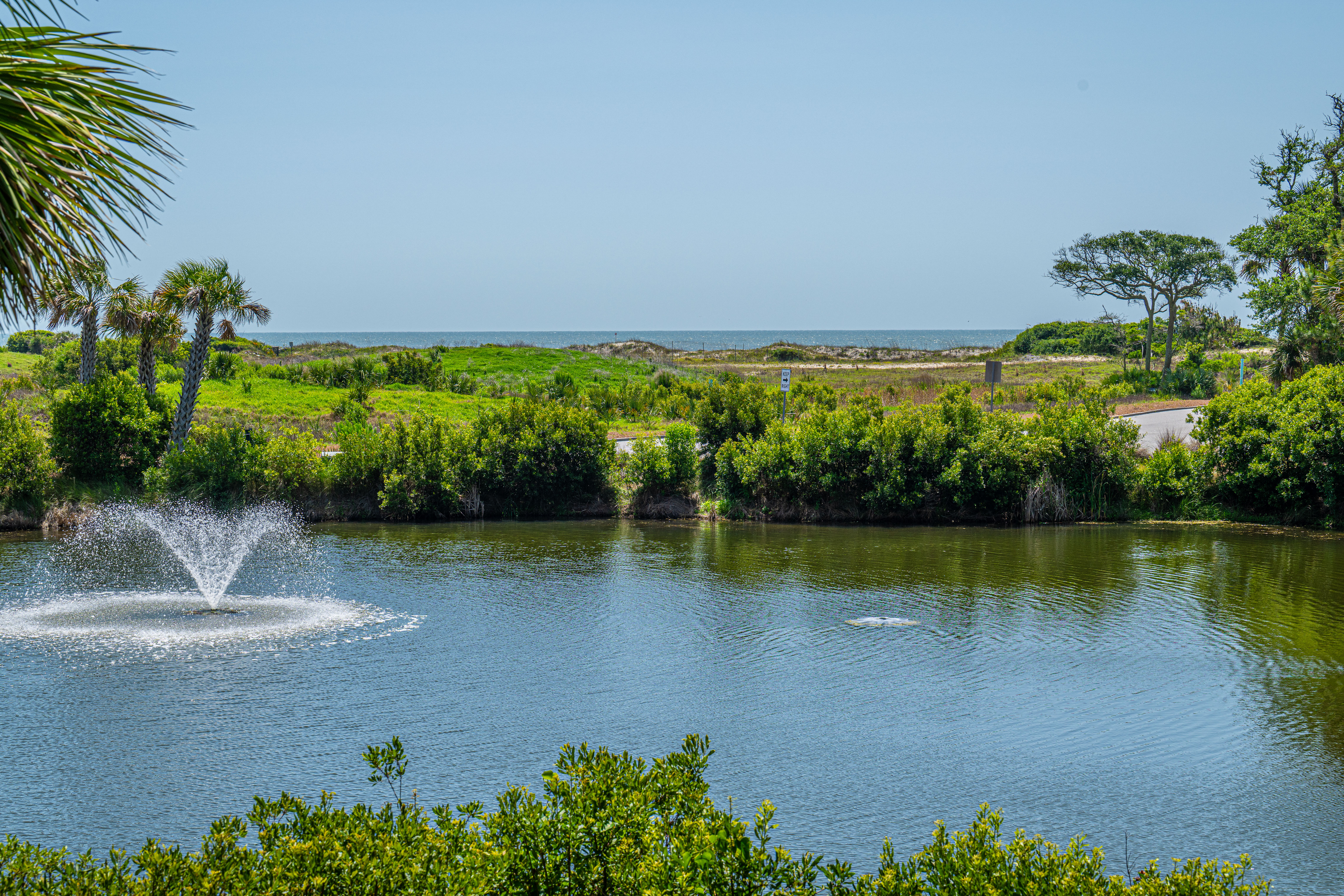 Kiawah Island Beach House Rentals